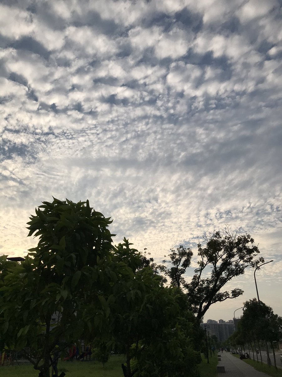 Sunset on my way back home🥰 The cloud is so beautiful yesterday💗☁️ #cloud #sunset #nature