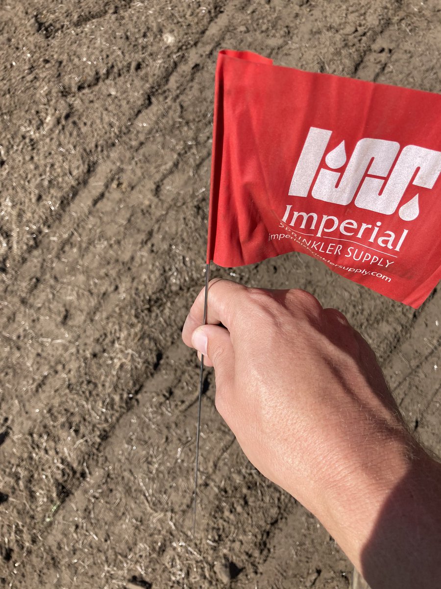 jayblasi's tweet photo. Simple pleasures. Putting flags in sandy soil.... #rightin #nobrokenflags https://t.co/6vah03zyzt