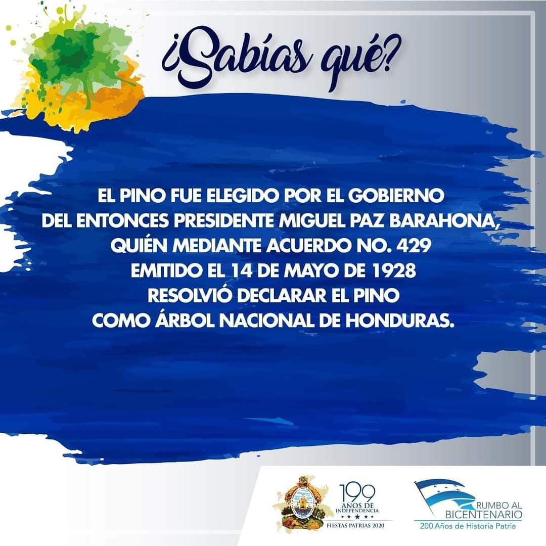 AngelleVallada2's tweet photo. Datos importantes para recordar #HondurasActivateencasa #reactivatehn @HONDURASPAZYCON @AlitaHernandez #todosconmascarilla #HondurasConHechos #FiestasPatrias2020 #RumboAlBicentenario #199AñosDeIndependencia https://t.co/hWLmZXt1ym