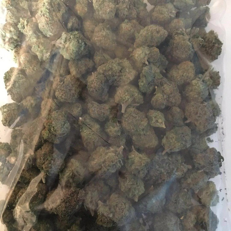 NicolasWeed11's tweet photo. Livraison sûre et discrète ,paiement à la livraison 🇫🇷
Snap: boby_ryan2020 
Telegram: Boby_ryan
Wickr: bobyryan1856

#weed #beuh #shit #Paris #Nantes #Toulouse #Bordeaux #Nice #Marseille #Rennes #Lorient #Lille #Dijon #Avignon #SaintNazaire #Auxerre #Monaco https://t.co/u4RJqeZUw6