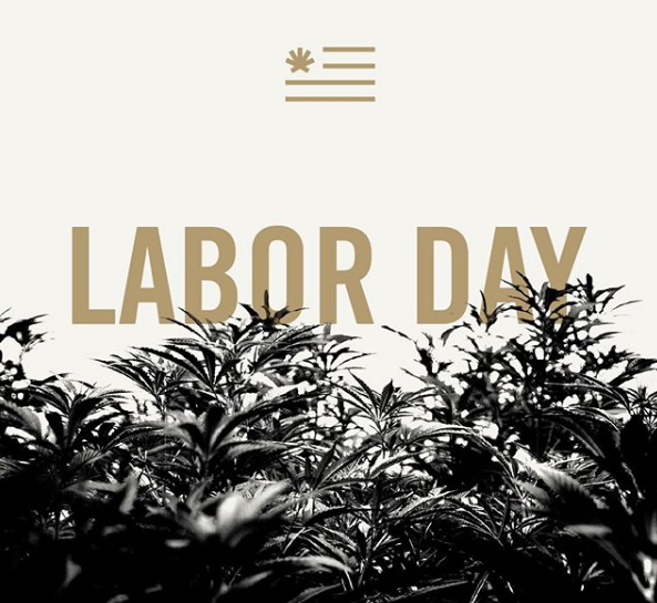 infiniteinfuse's tweet photo. From all of us at Infinite. Happy #LaborDay. Enjoy the time off with family, friends and a good dab.⁠ 
⁠ https://t.co/C0zVhq46Pq