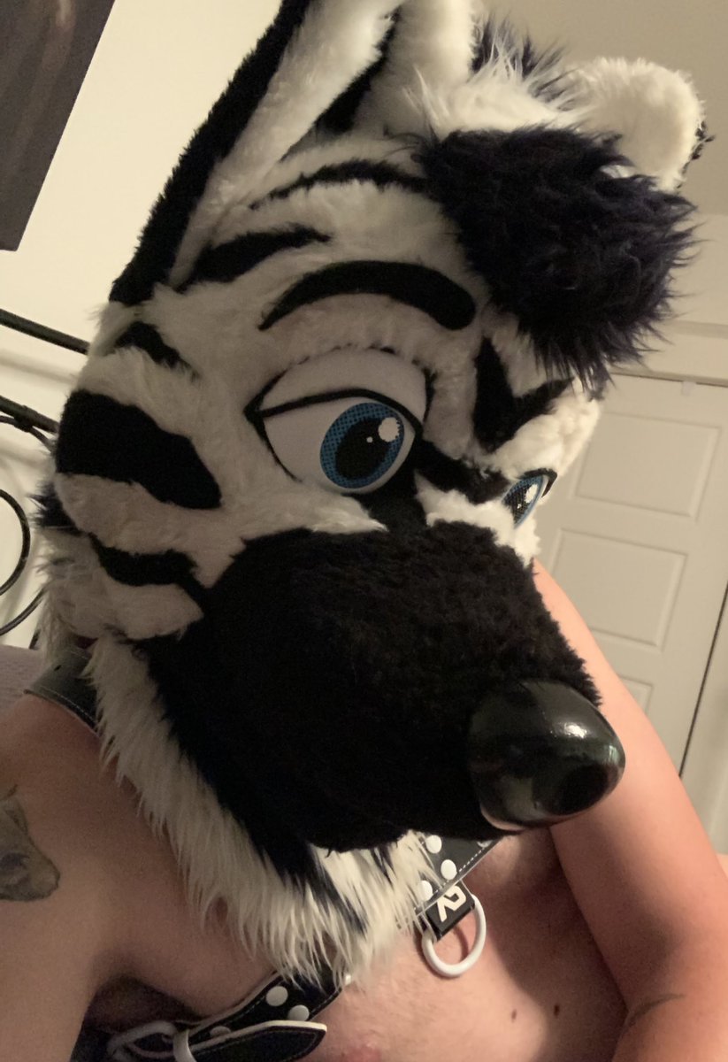 Zolar_the_Zolf's tweet photo. Good evening 😘 https://t.co/Lm7XWFSJiI
