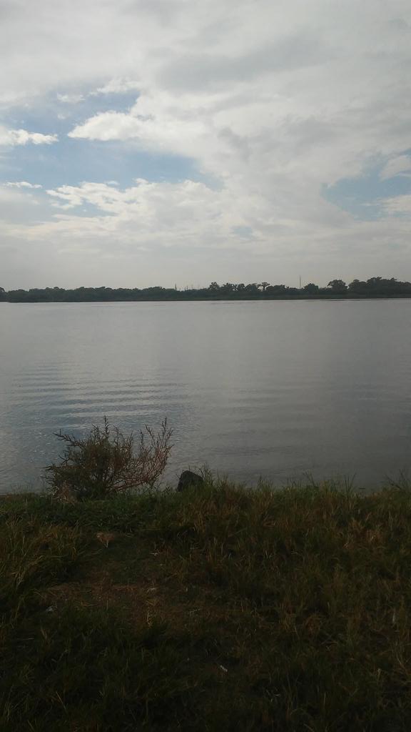 GambloGaming's tweet photo. Went on a walk with my brother today and we took some pictures while walking https://t.co/ynj5xIonAR