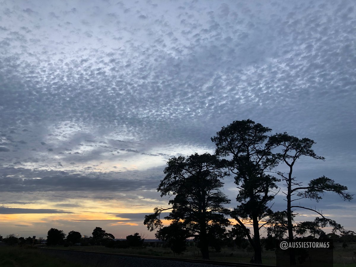 aussiestorm65's tweet photo. #aussiestorm65 #sunrise #photography #NOFILTER #janesweather #sky #victoria #vicweather #bomvic #spring @Johnted_113 @MelbourneSkies https://t.co/NNIVIQtMts