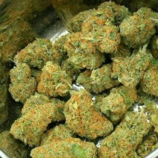 NicolasWeed11's tweet photo. Commandez et vous êtes livré 🍁🇫🇷🍁: cash 🌿🌿👇
Snap : boby_ryan2020
Télégram: boby_ryan
#Montréaleau #weed #beuh #shit #cocaine #drogue #Alma #Princeville #Sherbrooke #Québec #citation #Annecy_live  #meditation #Montpellier #hautsdefrance #rastabot #franceverte https://t.co/j4CPWCaVi6