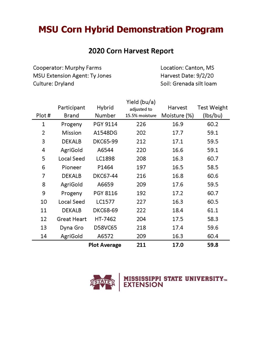MStateCorn's tweet photo. This #corn produced some very strong yields in our @MSUExtService Corn Hybrid Demo plot in Madison county. It was grown using no-tillage and dryland culture. #mscrops #UniversityTested #Harvest20 https://t.co/2NnLs5ikOb