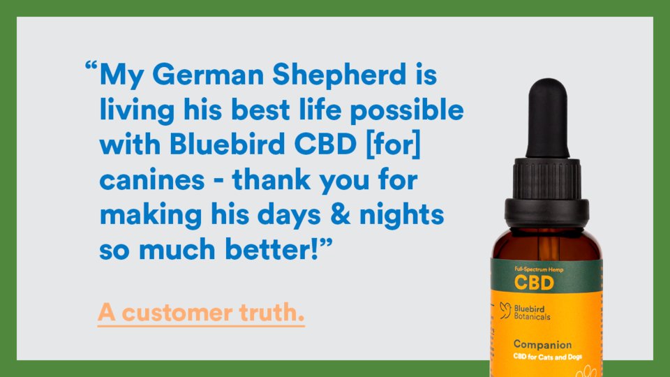 bluebirdhemp's tweet photo. No Filter CBD means we let our customers do the talking. #companionCBD #nofilterCBD https://t.co/bsb7N1xnBR