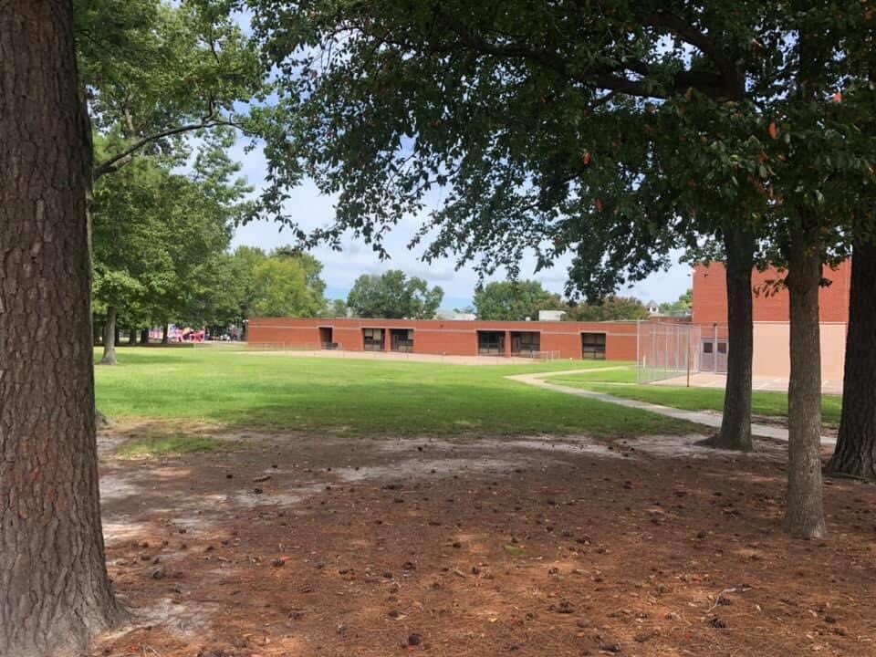 Casey Nelson tweet media