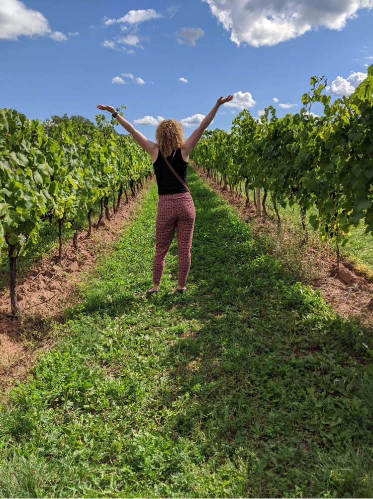 noordinaryadv's tweet photo. #RediscoverNovaScotia 🍇
 @JostVineyards 🍷 https://t.co/ufRxo87PLr