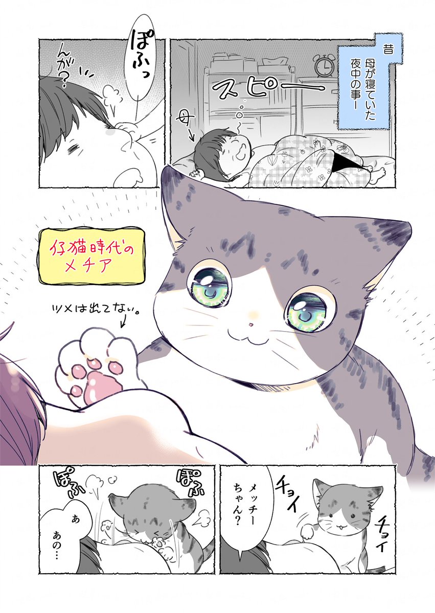 昔、母から聞いてきゃわいぃぃい!!!ってなった話 