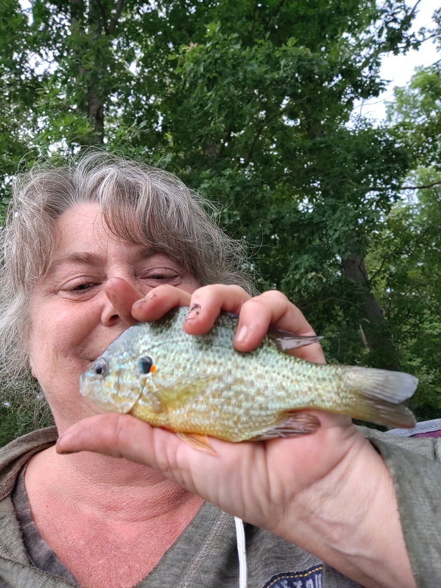 ghostnpoda's tweet photo. Loving #Ohio #fishinglife  It's good to be around water again! Can't wait to get the kayak out #kayaking More to come https://t.co/rXg2d0gXus