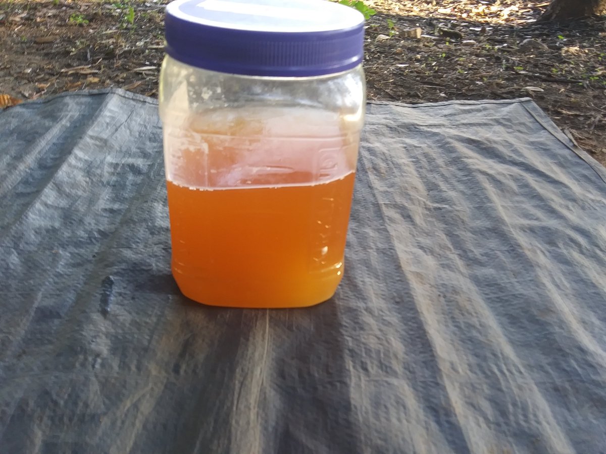 theseboneslive's tweet photo. My Urine ... Protein way to high color way to dark. https://t.co/YhTVYLdW0g