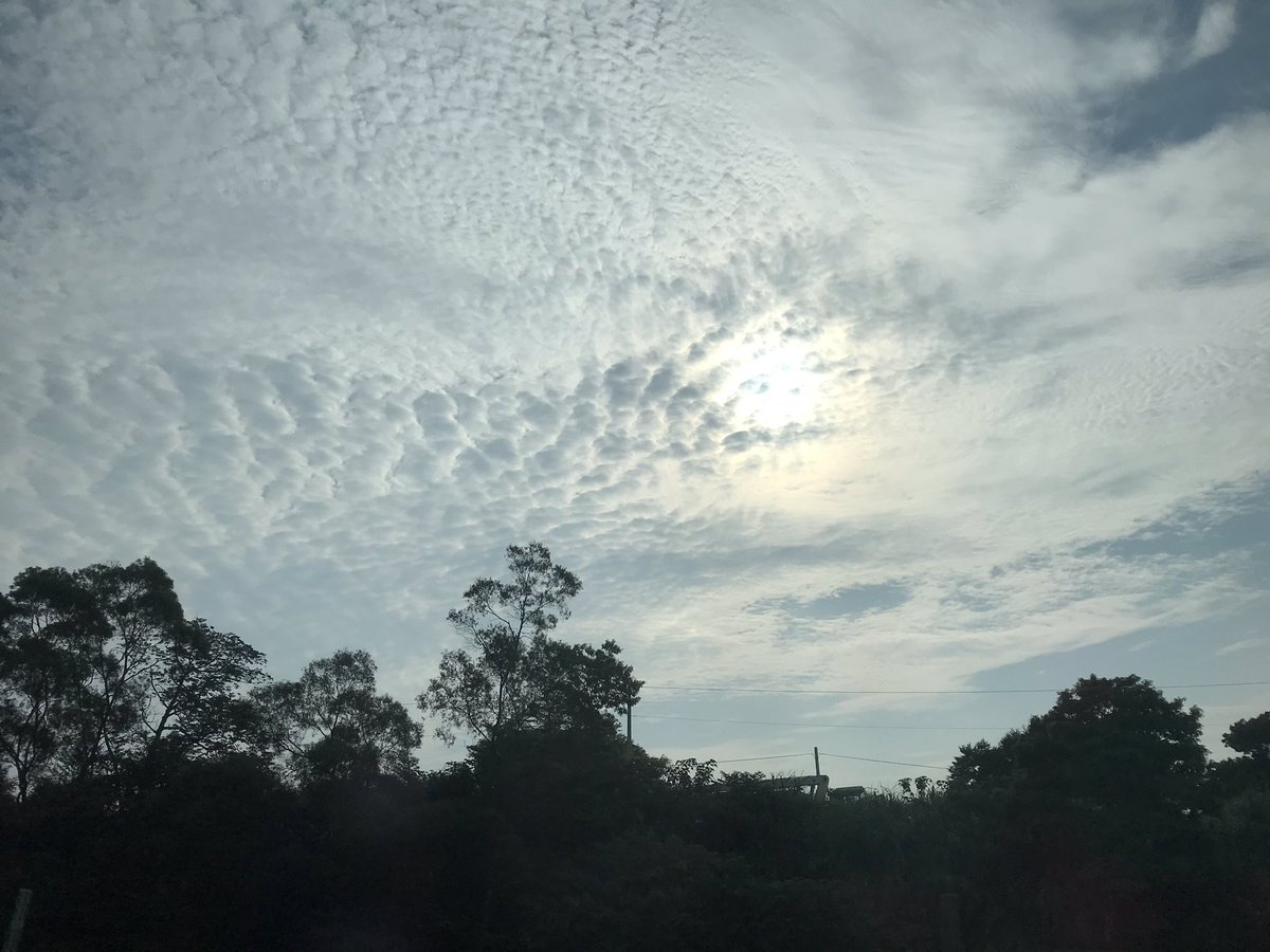 sasha498968's tweet photo. 今天去旅行,有美麗的天空,
漂亮的雲層陪伴!
#Beautifulcloud
#漂亮的雲
#旅行
#Taiwan
#新竹縣 https://t.co/6B2aRNOv4M