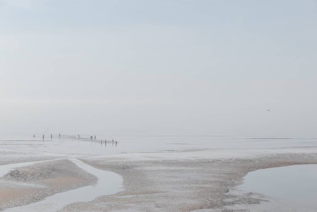Nick_Bark's tweet photo. Blackpool...
.
.
.
.
.
.
.
.
.
.
.
.
.
.
.
.
.
.
.
#shoot2kill #gominimalmag #missnothingmag #pellicolamag #limemagazine #beach #seaside #lowtide #igdaily #fromwhereistand #defragmag #subjectivelyobjective #aestheticmagazine #futurebalance #ftt #instag… https://t.co/TD7ENmcT9B https://t.co/BXBsmm28cI
