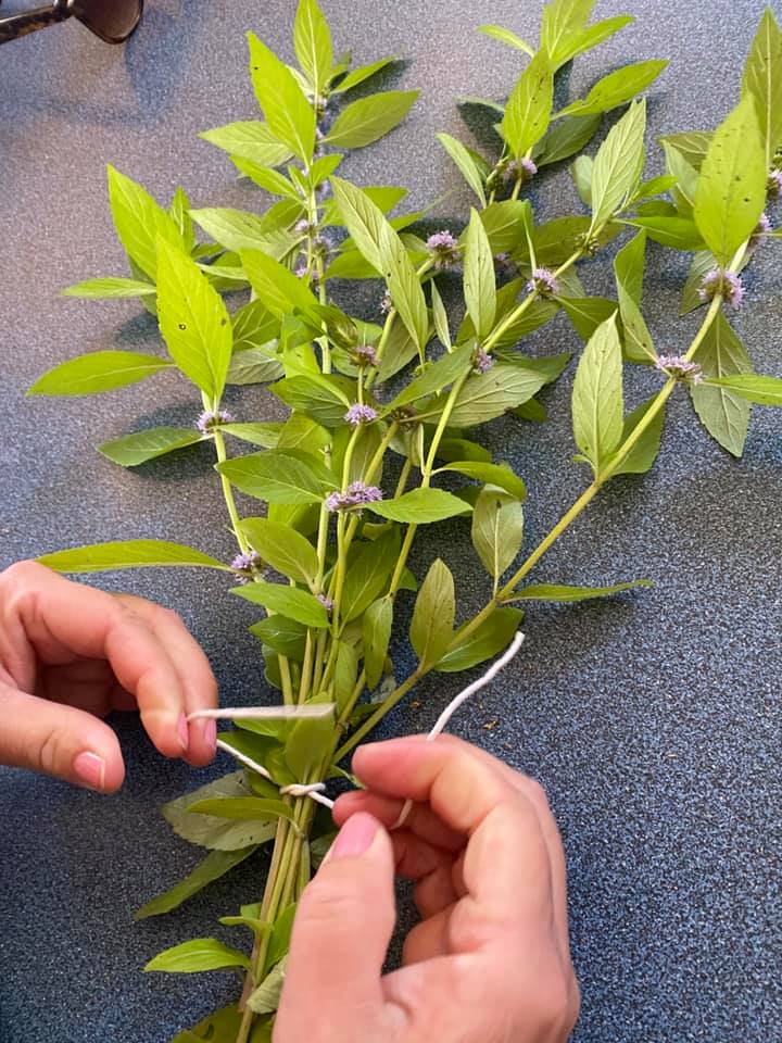 ANFCA Green Initiatives tweet media