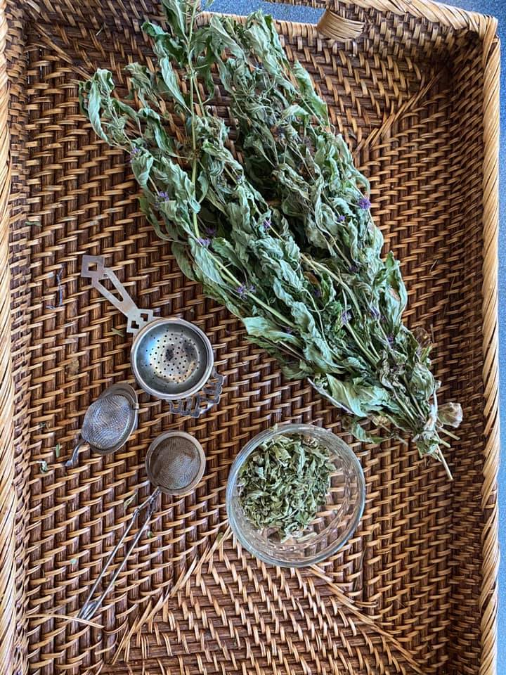 ANFCA Green Initiatives tweet media