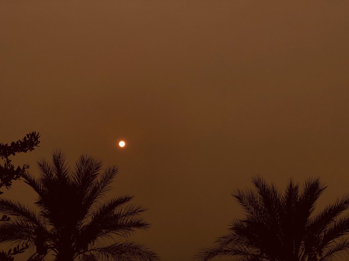 deidraphoto's tweet photo. @orko_manna @8NewsNow https://t.co/uogEATzLej