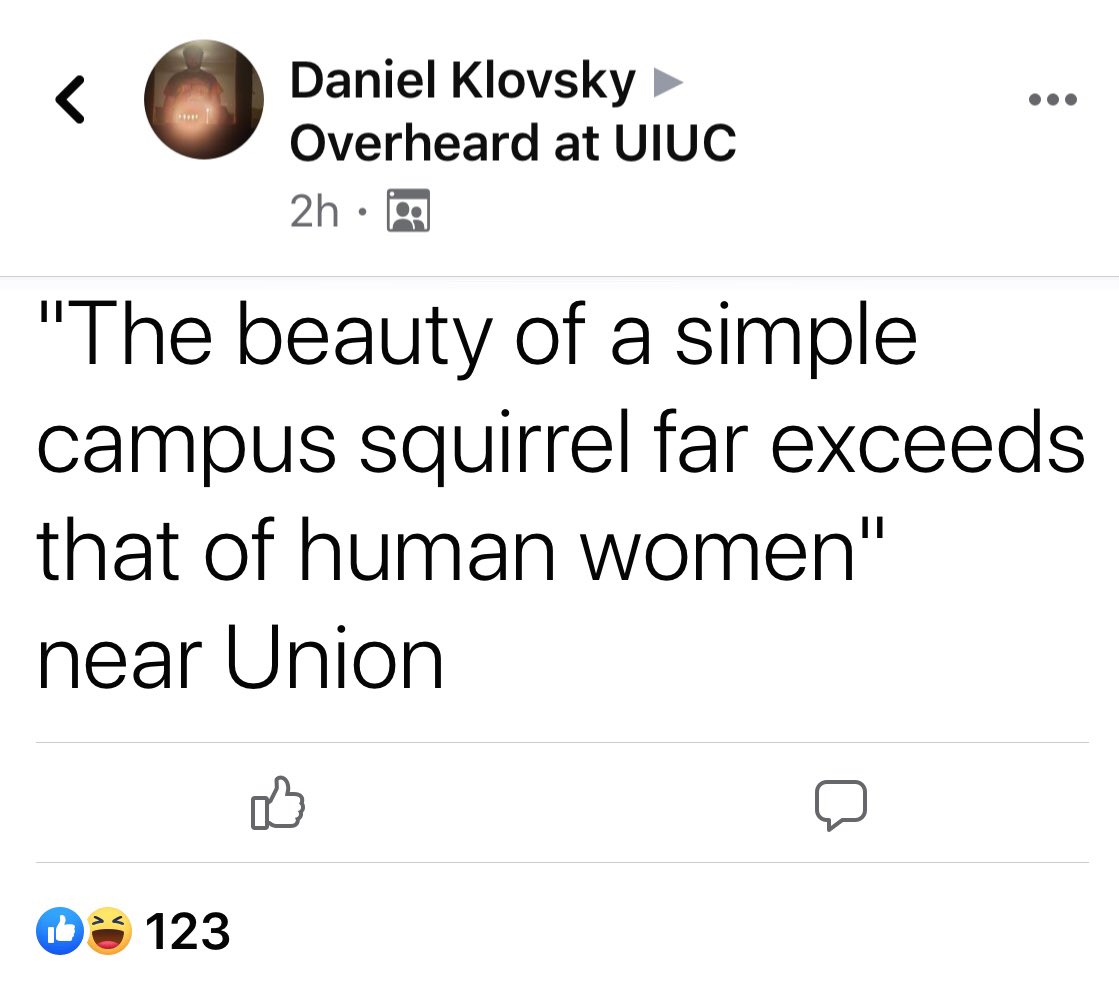 Oskee The Squirrel tweet media