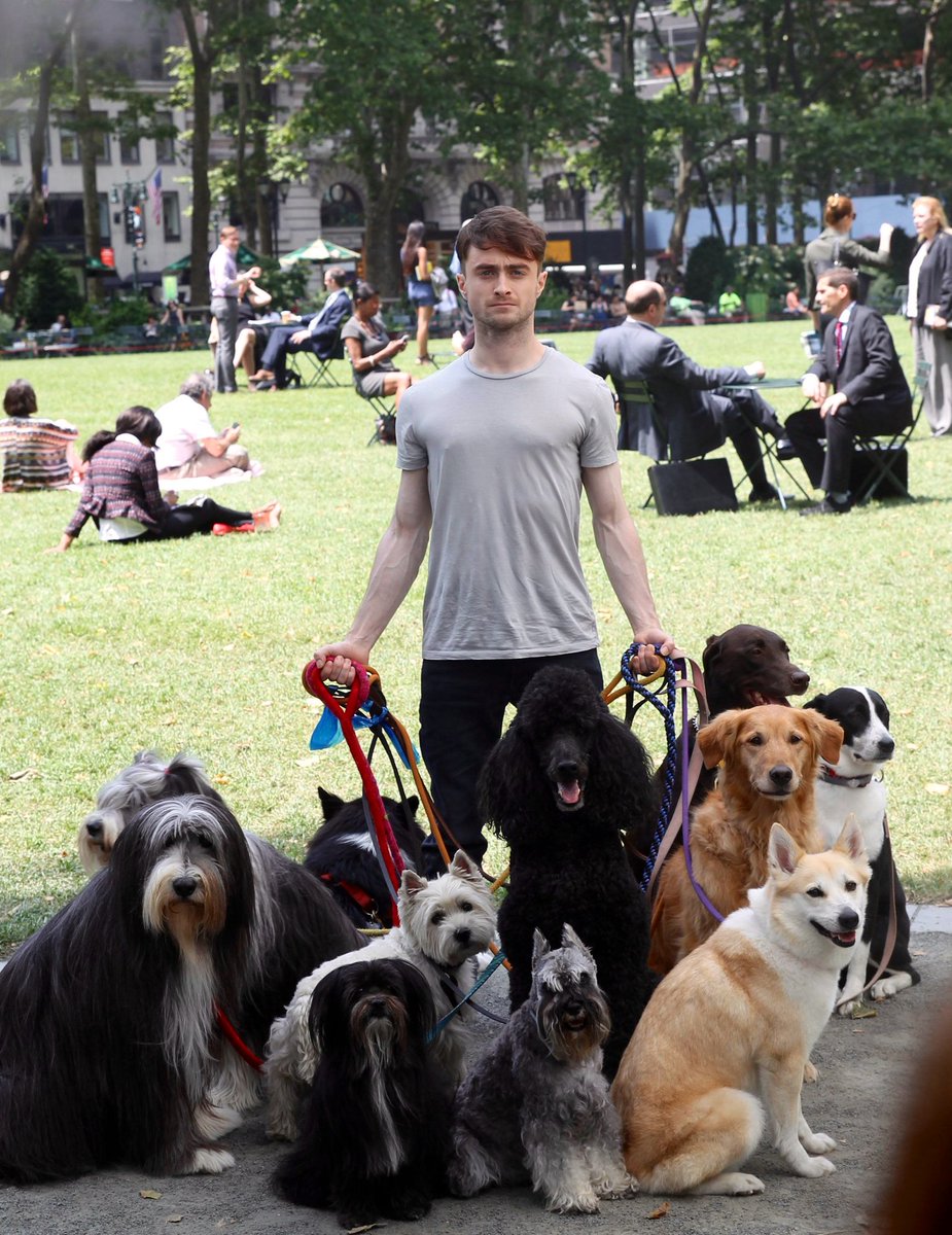 Dan Radcliffe Japan V Twitter おはようラドクリフ プライベートでも犬を飼っているダンは大の犬好きです 画像は映画 エイミー エイミー エイミー こじらせシングルライフの抜け出し方 に出演した際のショット Danielradcliffe ダニエルラドクリフ