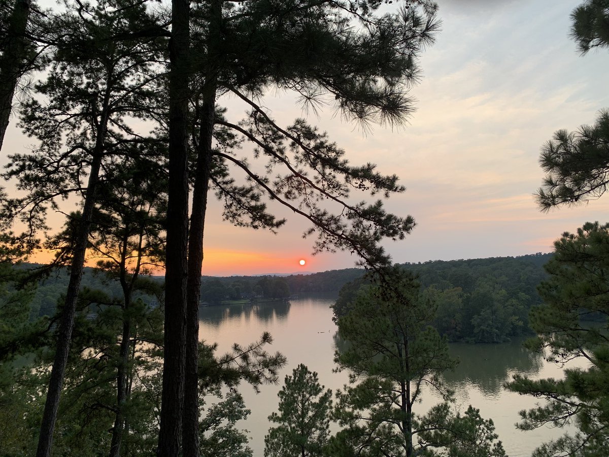 donnaterrell_tv's tweet image. Current situation #LaborDayWeekend2020