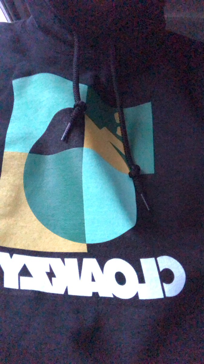 CrakaLakaGetSum's tweet image. Perfect weather to rep my @cloakzy hoodie I just ordered. Fall weather is here in Minnesota! #franklintheturtle