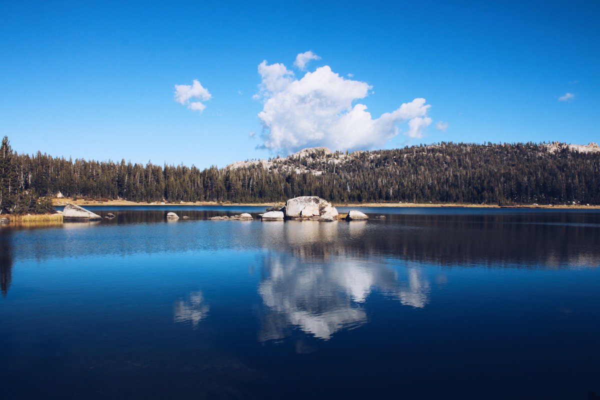 camillecwilson's tweet photo. Some of my favorite photos of #shaverlake 💔 https://t.co/UMXB1pX6OP