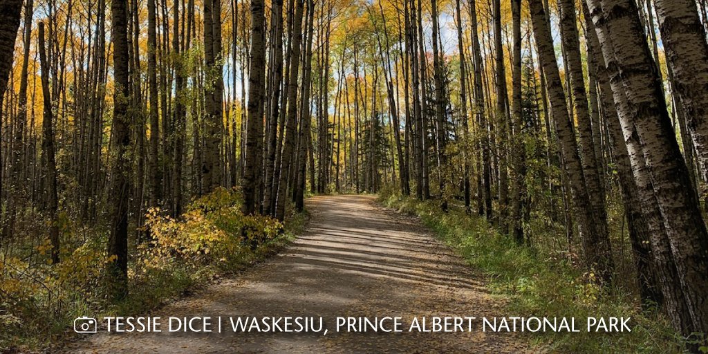 Synergycu's tweet photo. βFind something you love to do, and youβll never have to work a day in your life.β β Harvey Mackay
Happy Labour Day! How did you spend your long weekend? Comment below. #LabourDay #SeptemberLongWeekend https://t.co/pN4jk808nJ