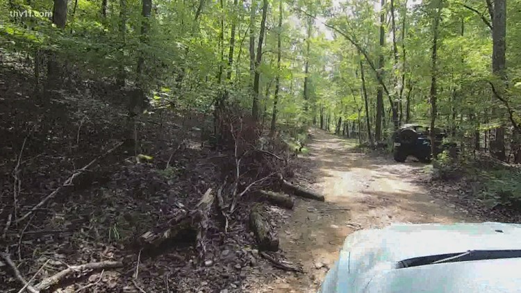 Busy Labor Day leaves positive signs for saving summer tourism in Arkansas

bit.ly/3279WPn