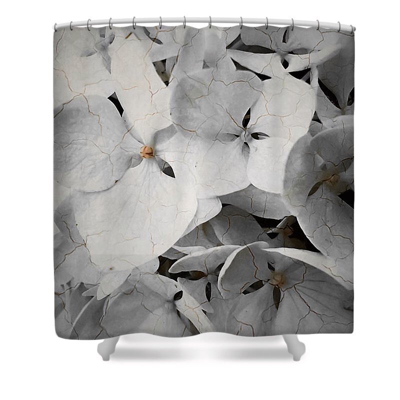 heather_morrill's tweet photo. Excited to share this item from my #etsy shop: Hydrangea Shower Curtain,Vintage Style Designer Unique Bath Curtain,Floral Shower Accessories,Home Interior,Shabby Chic,Boho,White Orange #white #gray #rusticvintagedecor #showercurtain #shabbychic https://t.co/Kq5qIcBGZn https://t.co/QLNYykuViP