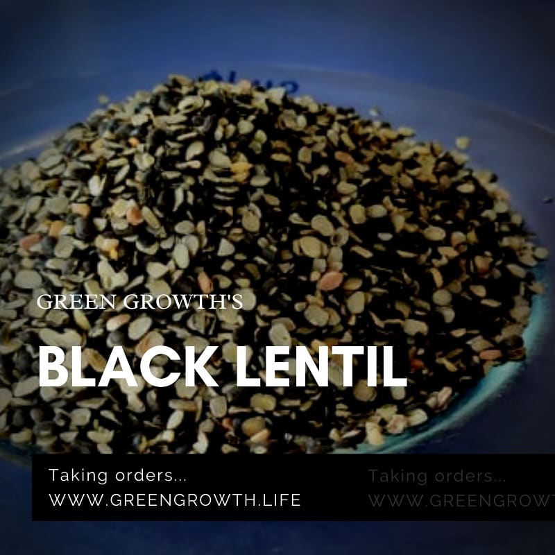 KARESAorg's tweet photo. What choices we have for lentils and beans?
#redlentil #blacklentil #yellowlentils #jumlabeans #mixkwatibeans...
..
Buy locally where its possible.
..
https://t.co/mYZgh7yRB0
Taking orders for saturday
..
#local #seasonal #flours #lentils #pulses #splitbeans https://t.co/w33UxL2esy