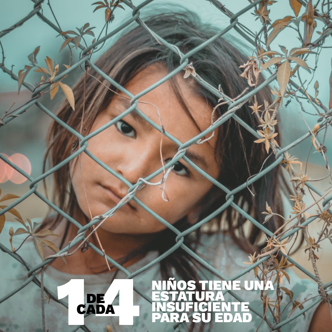 #DesarrolloSostenible En Youth Leadership Alliance estamos enfocados al cumplimiento de los Objetivos de Desarrollo Sostenible de Naciones Unidas. Hoy traemos datos relacionados al objetivo 1, Fin de la Pobreza. #YouthEmpowered