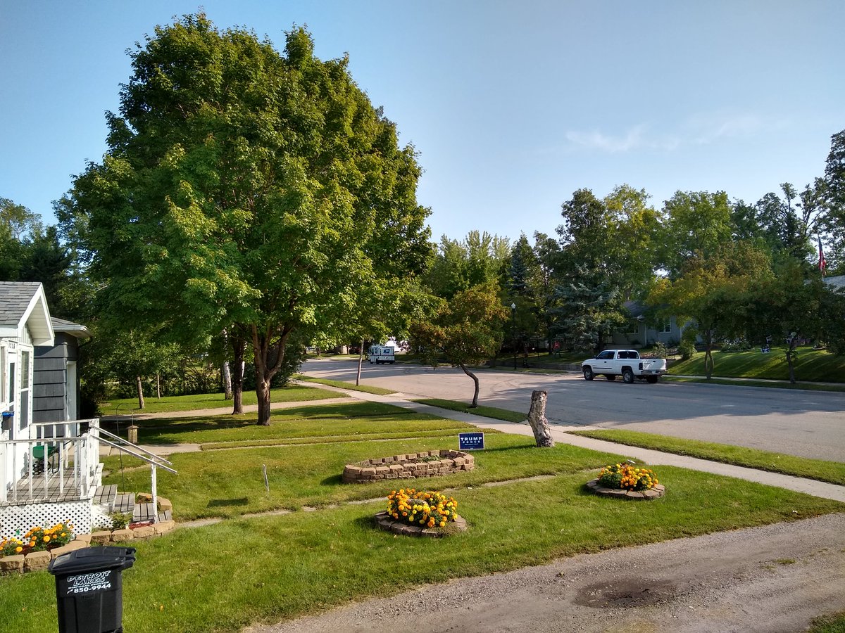 09/05/2020. Saturday. Nice and bright.