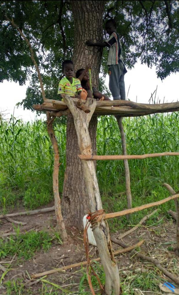 modoub20's tweet image. 