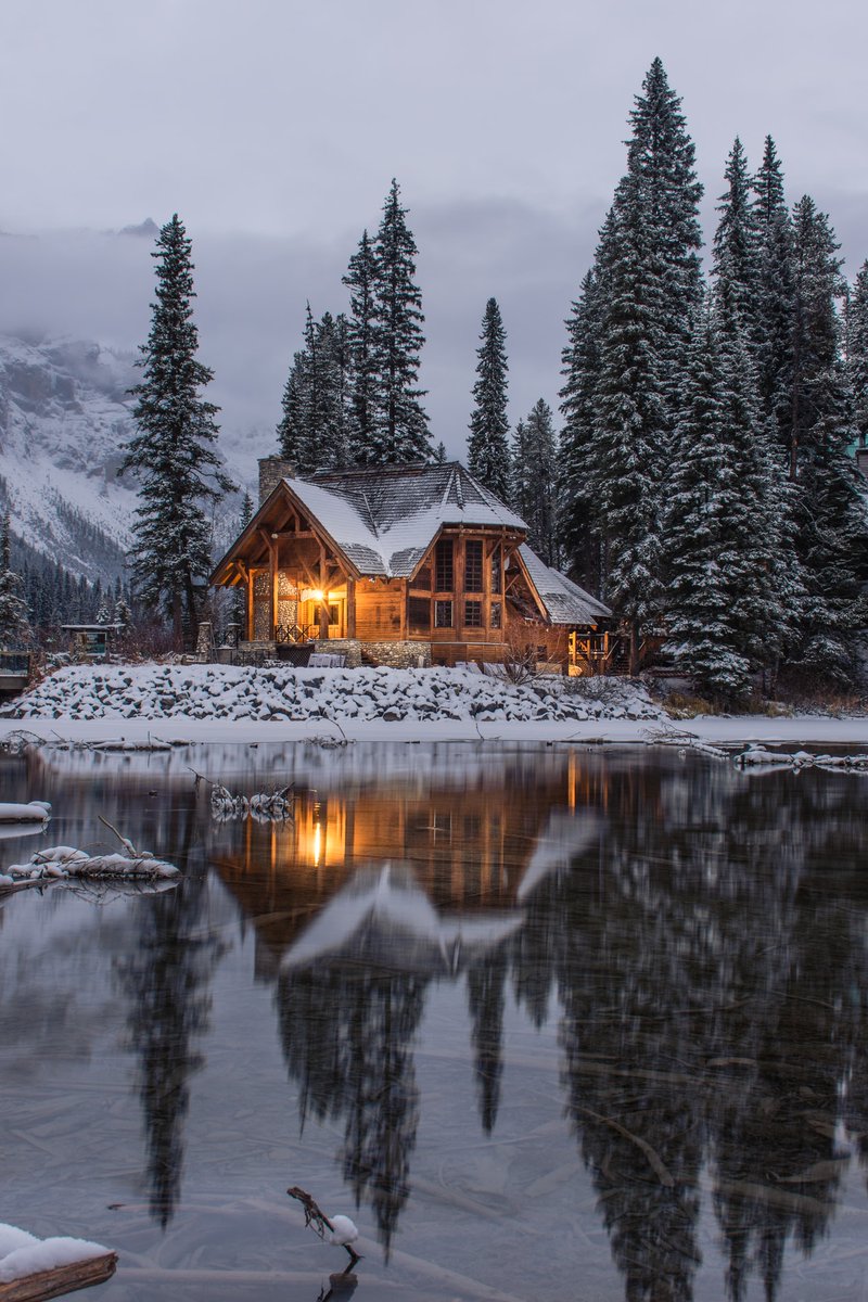 WalterWestfall's tweet photo. "Winter Heaven" https://t.co/eyA0Ht9THe
