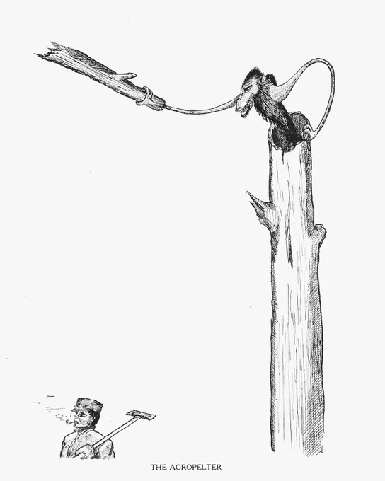 FEARSOME CREATURES OF THE LUMBERWOODS, WITH A FEW DESERT AND MOUNTAIN BEASTS (1910), illustrated by Coert du Bois. 