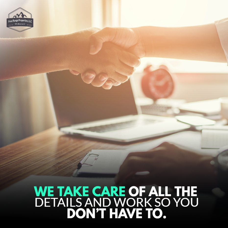 FreeRangeProp's tweet image. Our goal is to give you the easiest and fastest property selling experience. That’s why we pay cash. And that’s why we give fair and honest offers quickly.
--
Learn more: freerangeproperties.net
.
#freerangeproperties #land #realestate #nature #landscape #property #realtor #house