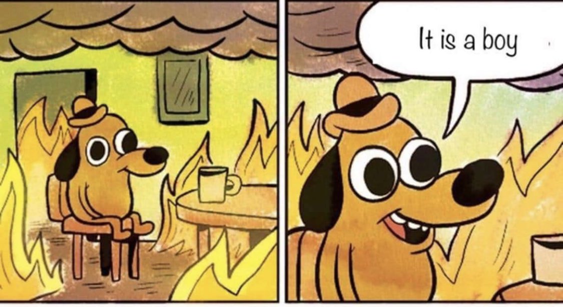 toasterleg's tweet image. Literally no one:

Straight people: