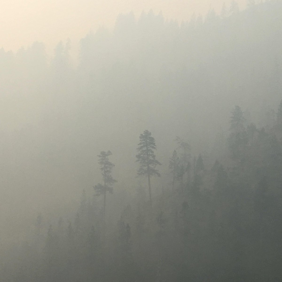 ForestServiceNW's tweet photo. A record fire weather pattern has hit the NW moving it to Preparedness Level 5, the highest level on the scale, indicating extreme potential for fire activity. Help our fire teams who continue to battle fires under these extreme conditions. A single spark can start a #wildfire! https://t.co/hRKwBDUC6q
