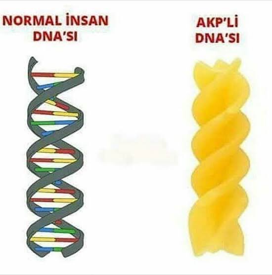mevlutozkan35's tweet photo. Akepeli Olmanın 5 Şartı
1. Reise inanmak
2. Ahabere inanmak
3. Dolar bozdurunca doların düşeceğine inanmak
4. Her b*ku dış güçlerin yaptığına inanmak
5. İyi işlerin akepeden, kötü işlerin dış güçlerden geldiğine inanmak..                                   #Yuhh https://t.co/E0eRPy2uDp