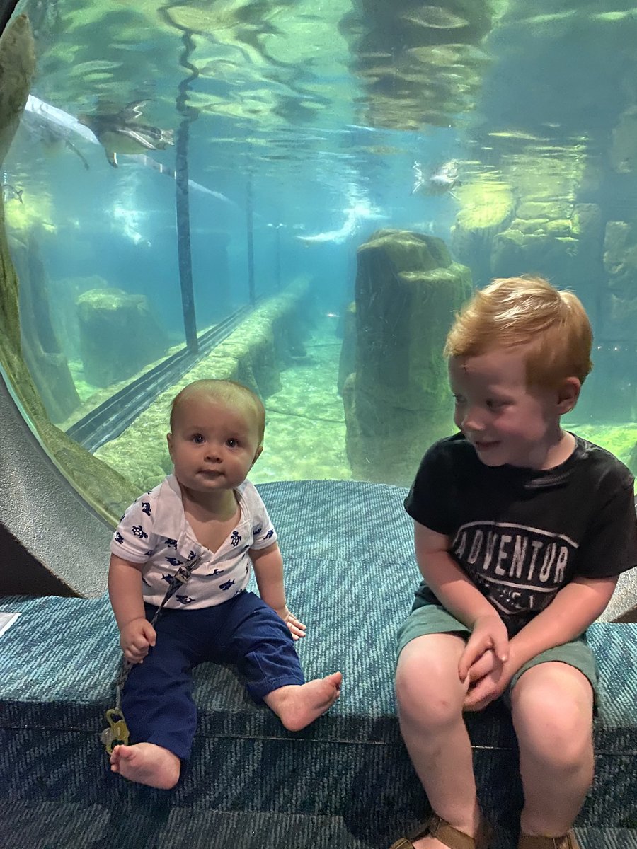karrie1's tweet photo. Love the day with my grandsons at the zoo! https://t.co/hNwx5wMZko