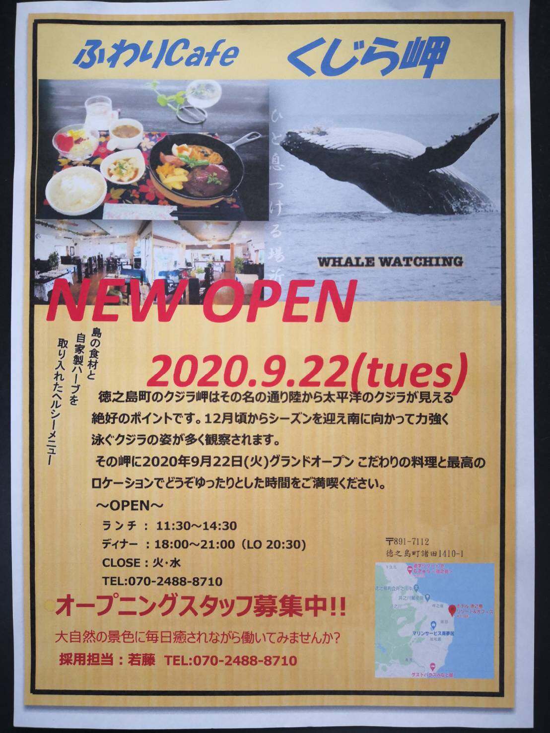 Kirameki Tokunoshrma 鹿児島県徳之島 今月22日 火 に徳之島町諸田の徳之島リゾートホテル Amp オフィス内に ふわりcafe くじら岬 がオープンします 鹿児島県 奄美群島 徳之島 諸田 くじら岬 徳之島リゾートホテルオフィス リゾートプール