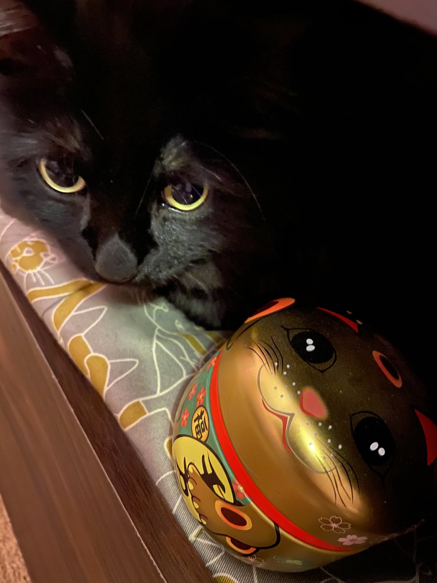 金の招き猫 金の招き猫