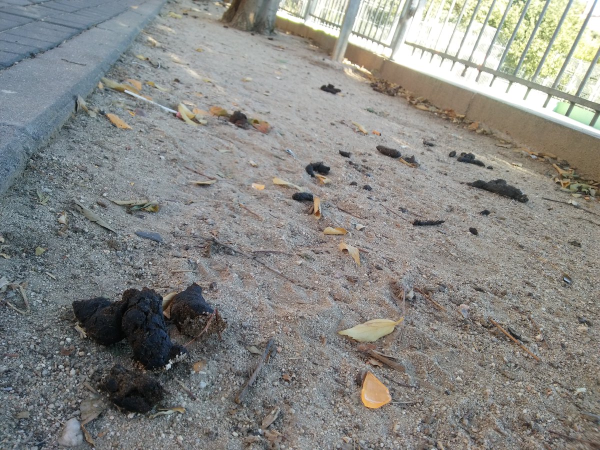 AVAlmendrales's tweet photo. #BuenosDias La limpieza del barrio depende de la concienciación de los vecinos, pero también de un servicio de recogida adecuado para las características comerciales de algunas zonas #UseraLimpia #Almendrales https://t.co/S0sAX5Gav4