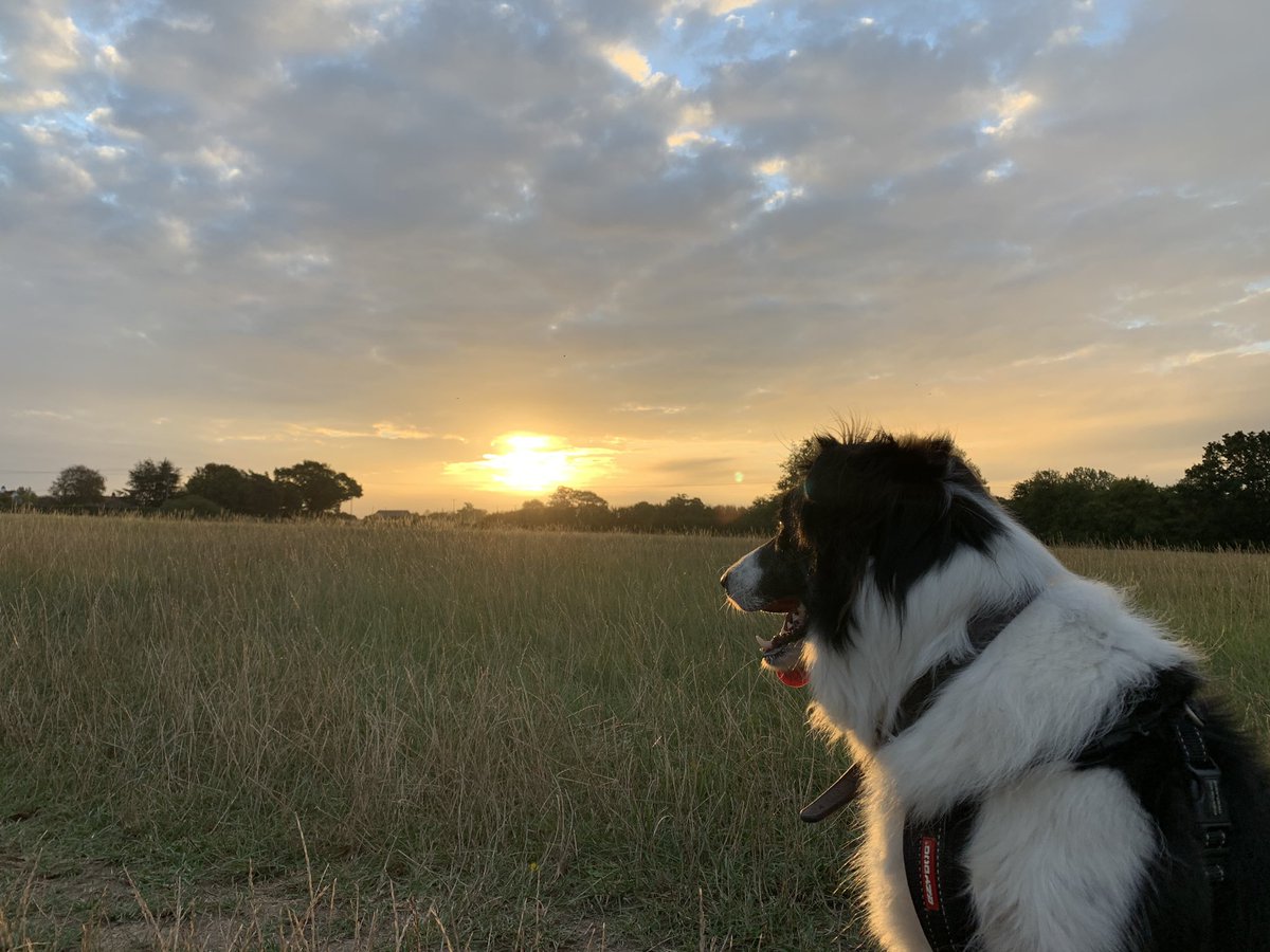 Beautiful morning here in Thorrington! <a href="/AngliaWeather/">Anglia Weather</a> <a href="/ChrisPage90/">Chris Page - Weatherman</a> <a href="/WeatherAisling/">Aisling Creevey</a> @beckyjagoitv