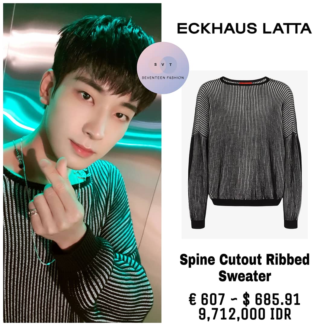 wonwoo sweater