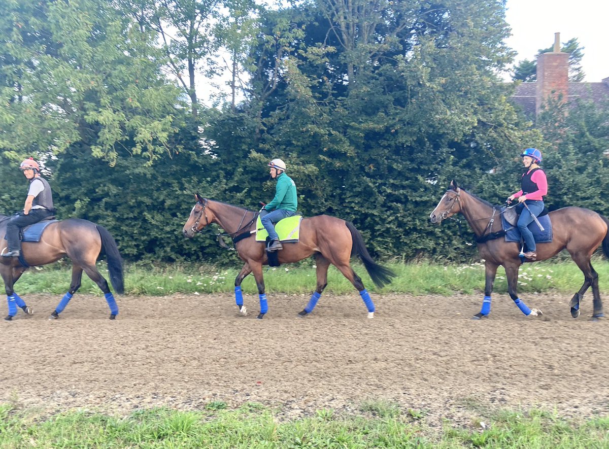 JohnWathenBerry's tweet photo. Warmer this morning @NewmarketGallop, currently 17, degrees, although there is quite a breeze. Forecast high 22. Great to see #Enable looking a picture of contentment after her easy win @kemptonparkrace on Saturday. https://t.co/0jlWYZdWi8