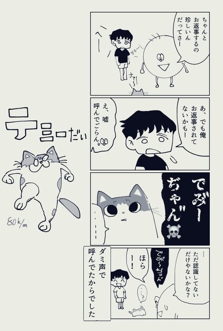 とある夫婦と猫の四コマ 