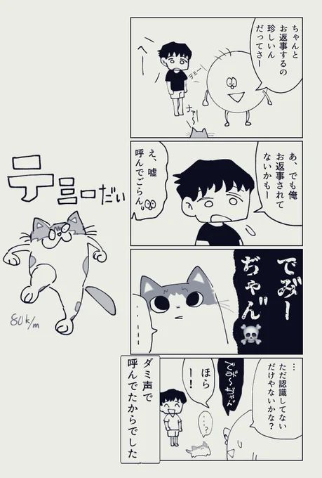 とある夫婦と猫の四コマ 