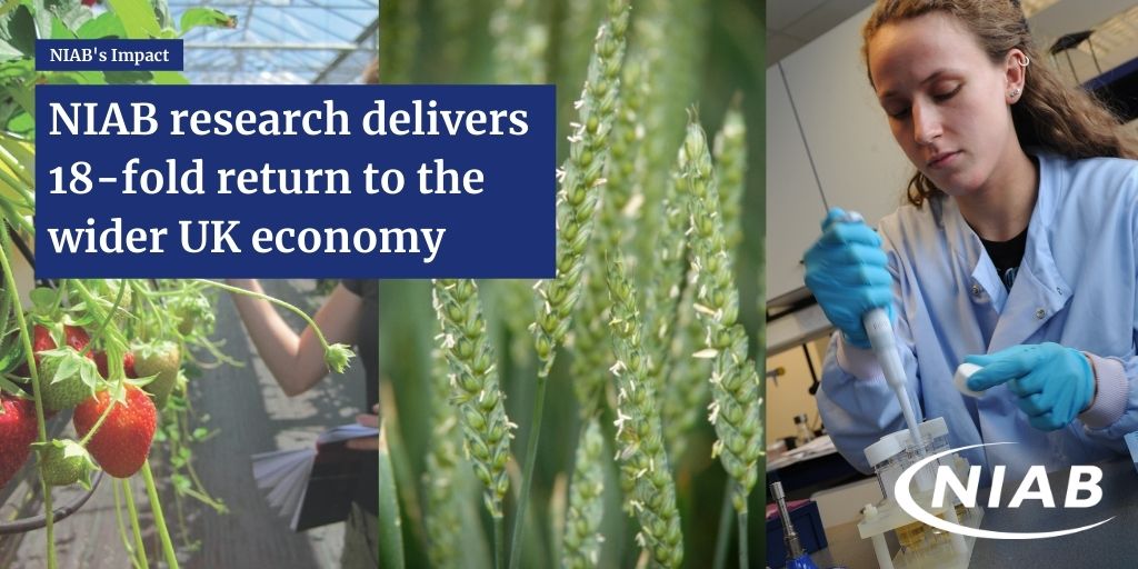 niabgroup's tweet photo. 📢ICYMI: Independent impact study reveals NIAB research delivers 18-fold return to the wider UK ecomony 👉https://t.co/z1ZZ5mGxzD #Impact #economy https://t.co/b4k2K3lMAb