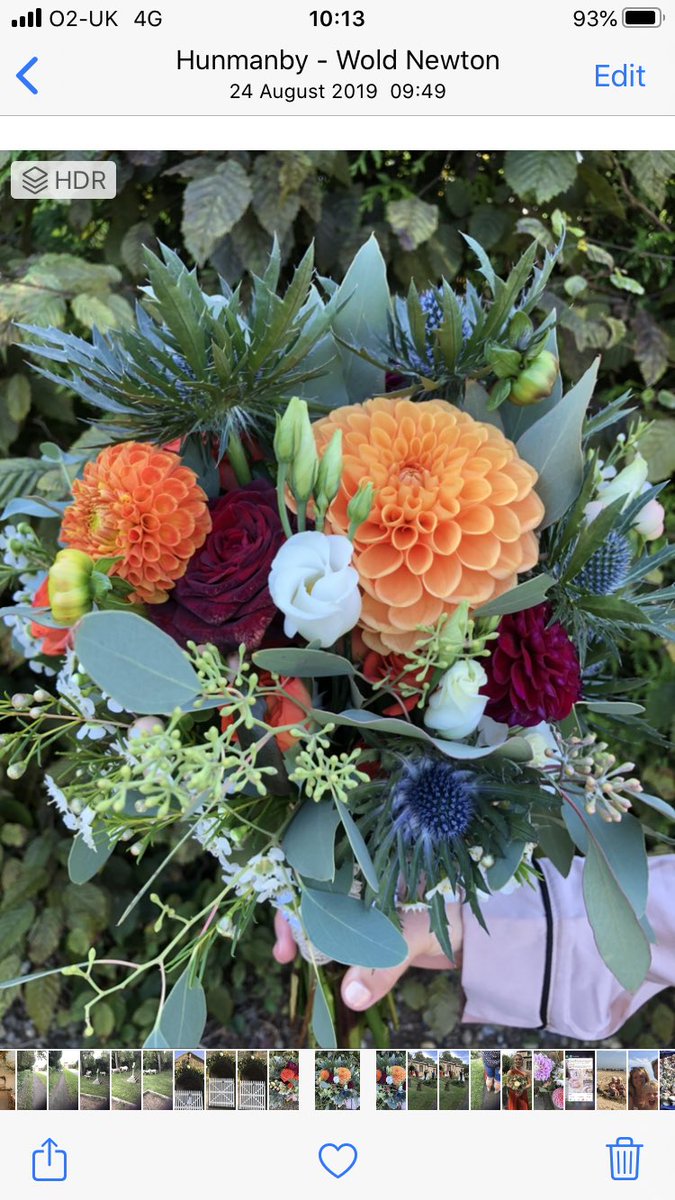 Beautiful Dahlias. The best flower I grow . Endless blooms and so adorable. #flowergrower #bridalbouquet #florist #romamce #wedding #happiness